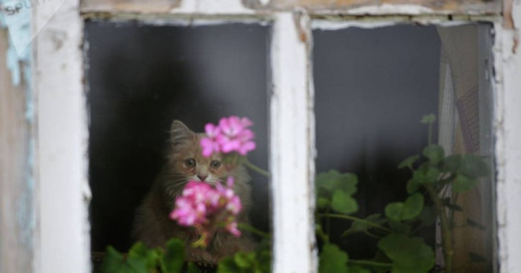 Депутат Амқола облысындағы ауыл тұрғындарының жанайқайын жеткізді