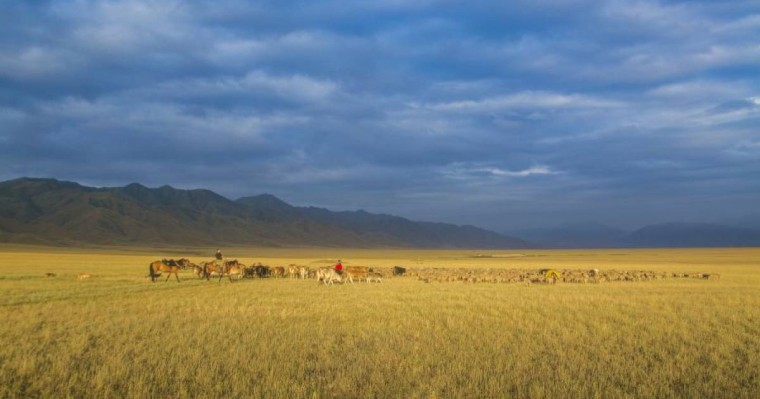 Қазақстан Ресей депутатының "жерді сыйға бердік" деген сөзіне қарсы нота жолдады