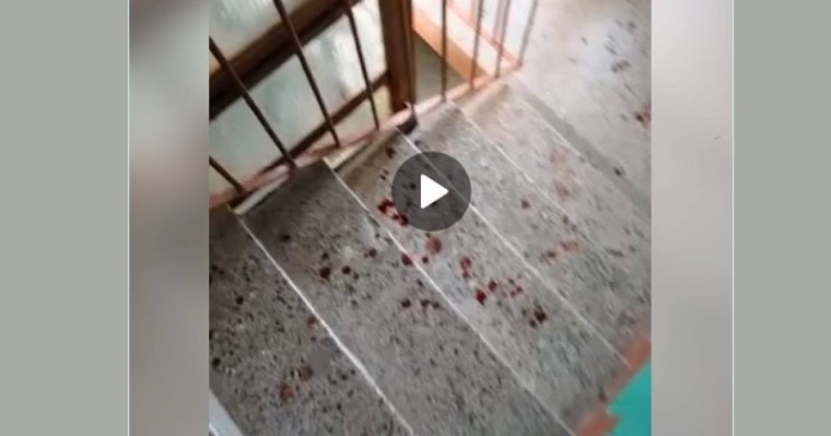 Ақсайда подъезде ер адамның жыныс мүшесін кесіп тастады - полиция не дейді (видео)