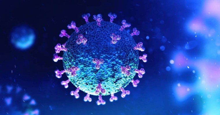 Китайские ученые назвали возможную причину новой пандемии