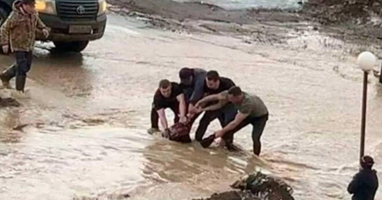 Ақтөбеде арыққа құлап, ағып кете жаздаған қызды құтқарғандар марапатталды