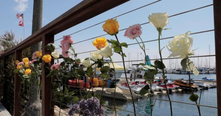 美国加州游船深夜起火致25人死亡至少9人失踪