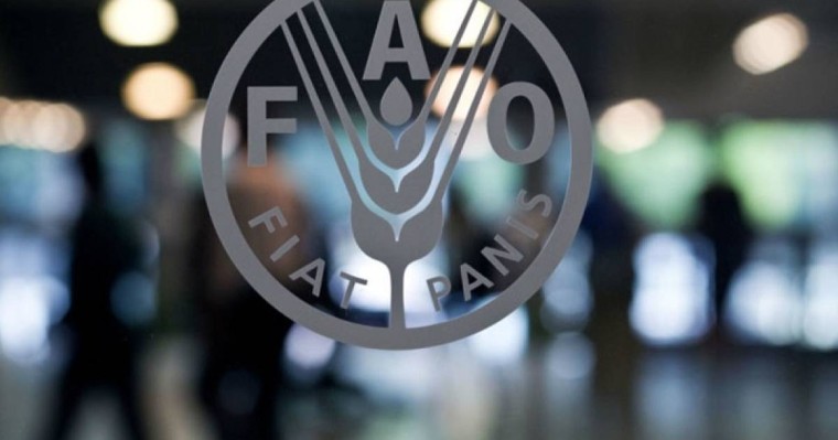 中国农业部副部长当选粮农组织总干事