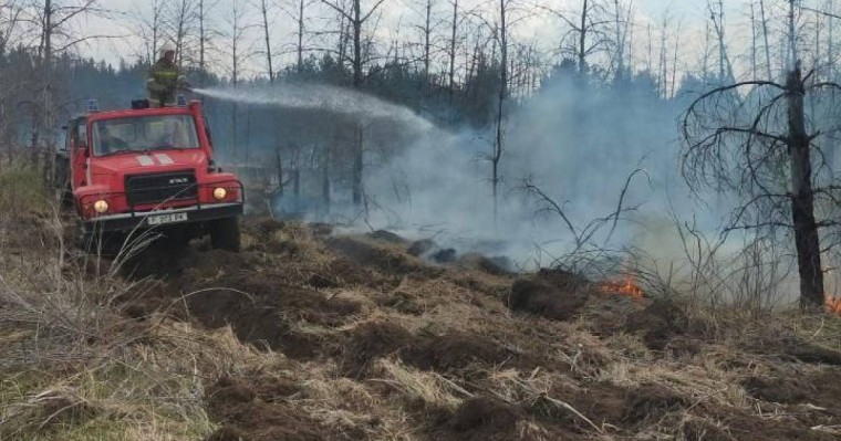 Абай облысындағы орман өрті шыққан жерге вице-министр келді  