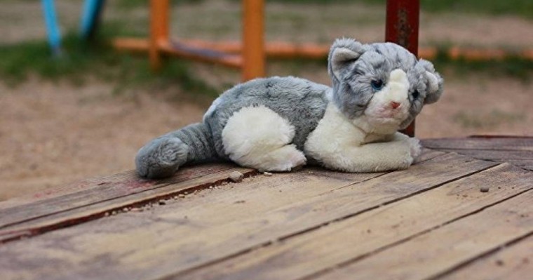 ішкі істер министрлігі жоғалған балалар туралы айтты