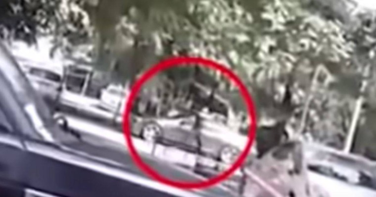 Алматы облысында көшенің қақ ортасында ер азаматты атып кетті