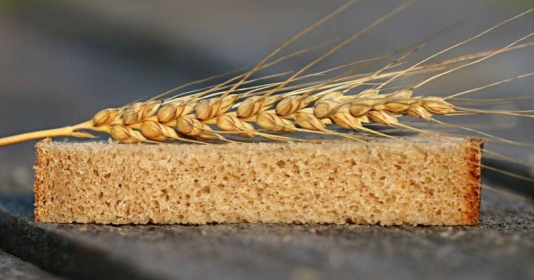 Астықтың кем жиналуы нан бағасына әсер ете ме