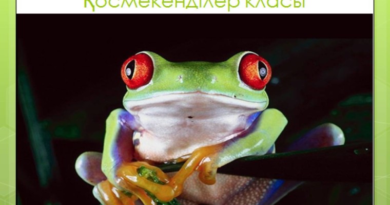 Презентация (слайд): Биология|Қосмекенділер класы