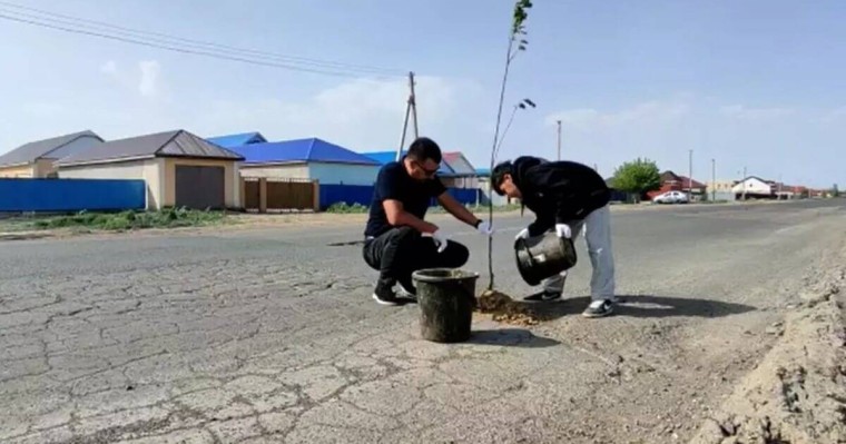 Атыраулықтар жөнделмеген жолдың ойығына ағаш егіп жүр (ВИДЕО)