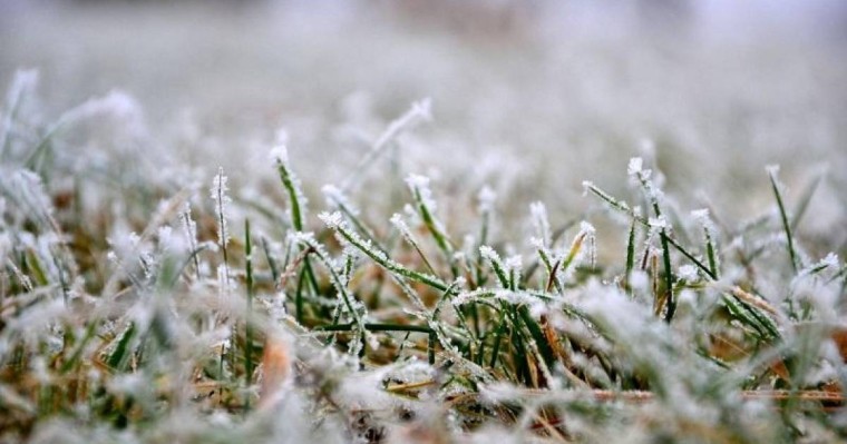 未来48小时首都将有地霜