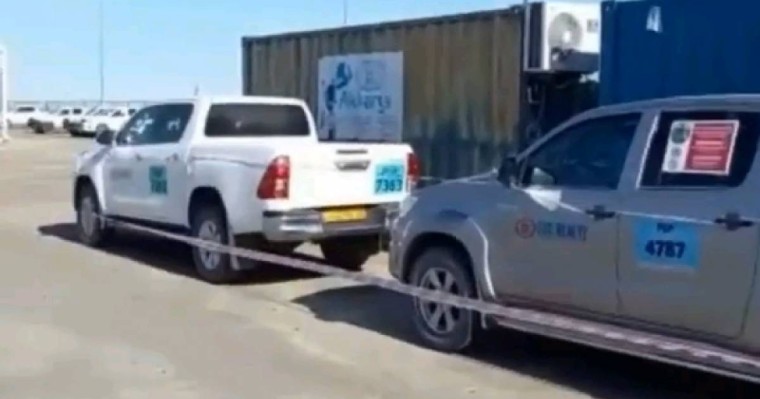 Теңізде құстар ұя салған көліктердің жұмысы уақытша тоқтатылды