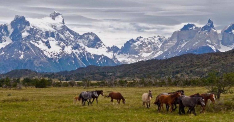 Қазақстанда миллиондаған гектар пайдаланылмайтын жер қолданысқа беріледі