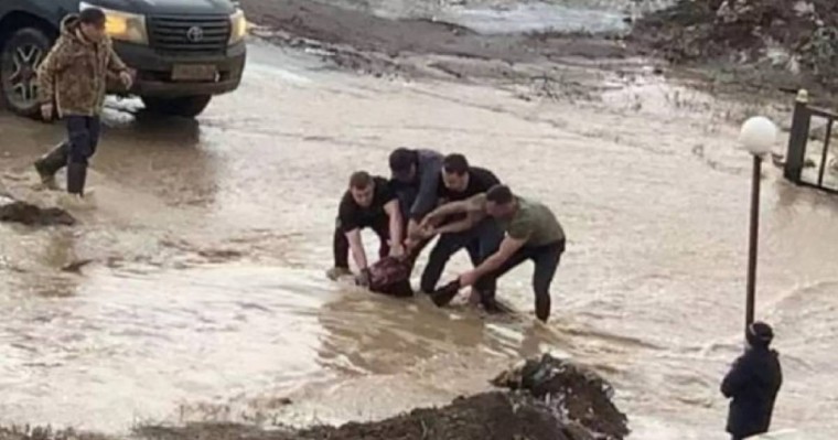 Ақтөбеде суға толы арықта батып бара жатқан қызды бірнеше ер адам құтқарып қалды (видео)