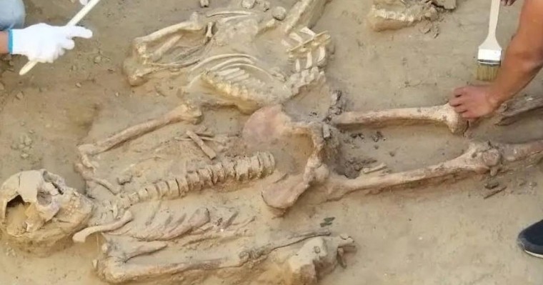 Қазақ халқының генетикалық тарихы 7 мың жылға тереңдеді — жаңа зерттеу