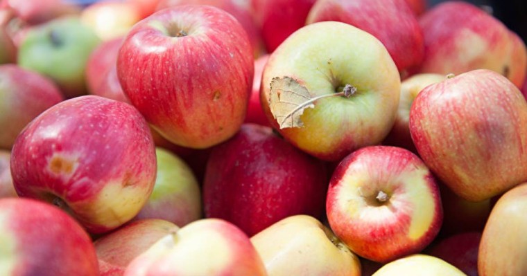 Алма мен алмұрттың қандай зияны бар