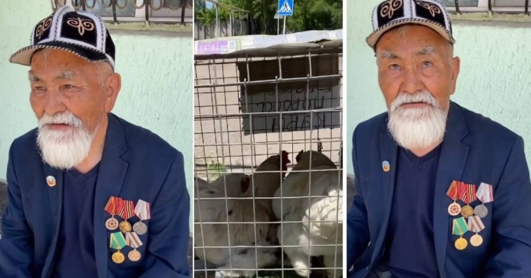 "Жұртта қалған халықпыз ғой": Көшеде тауық сатып отырған 97 жастағы соғыс ардагерінің видеосы желіні шулатты