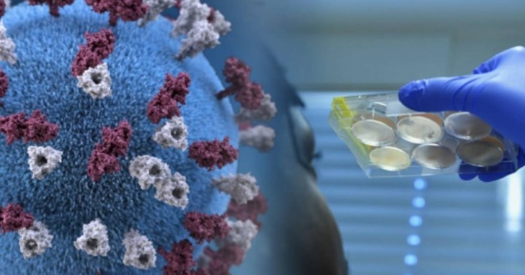 ”1290 адам жұқтырды”: Денсаулық сақтау министрлігі короновирусқа қатысты мәлімдеме жасады