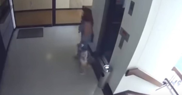 Әйел құлап бара жатқан баласының аяғынан ұстап қалды – таңғажайып видео