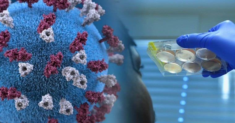 Англиялық ғалым: Коронавирусты жеңу мүмкін емес