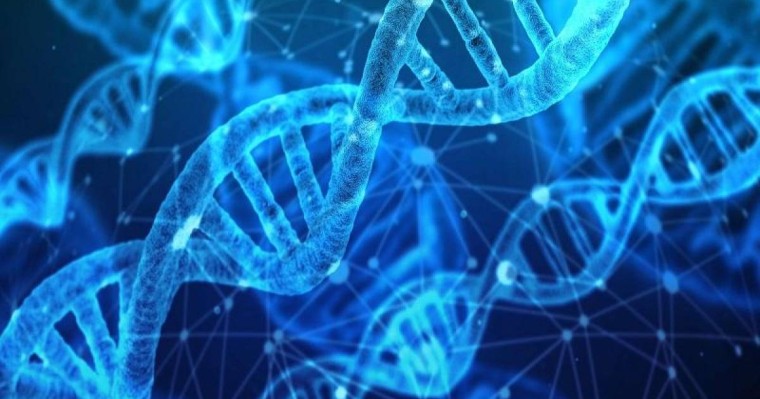 WHO启动全球人类基因组编辑注册计划