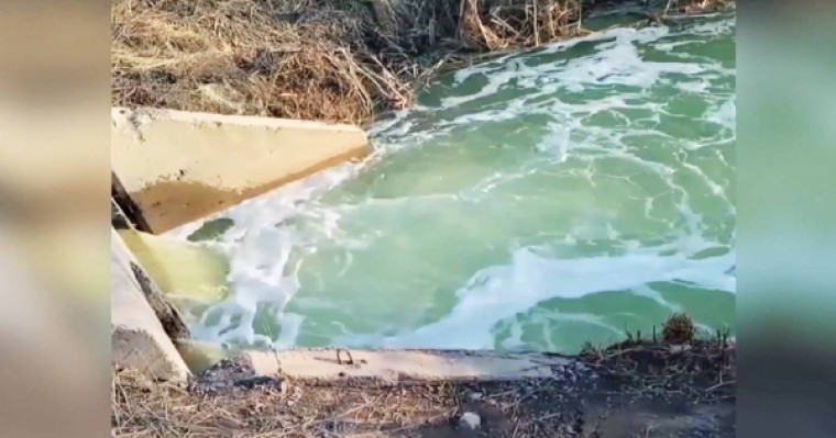 Кеннен шыққан жасыл су қазақстандықтарды шошытты