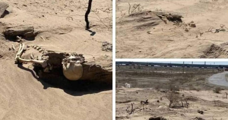 Қызылордада айдаладан адам сүйектері табылды