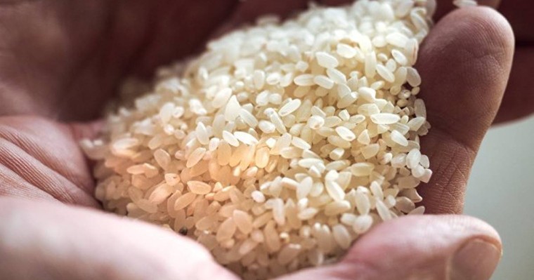 Күріш пайдасы анықталды