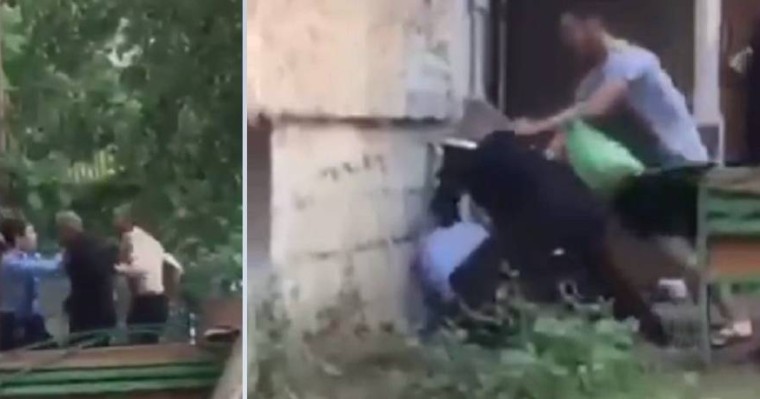 Павлодарда ер адам өзіне ескерту жасаған полицейді ұрып тастады - Қазақстан жаңалықтары