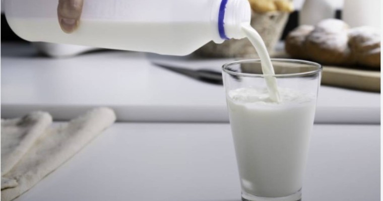 14 миллион теңгеге бір литр сүт: Қызылорда облысында ерекше тендер анықталды