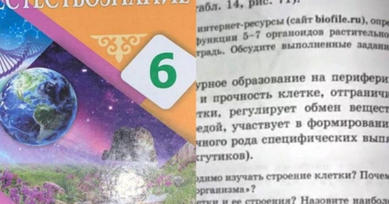 ҚР Білім министрлігі алтыншы сынып оқулығында порно сайттарға сілтеме бар екенін анықтады