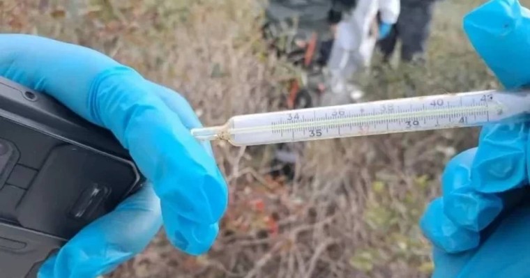 Маралдыда малдың қырылу себебі әлі анықталған жоқ    