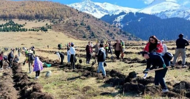 Қырғыз азаматы әкесіне арнап 14 мың түп ағаш отырғызды