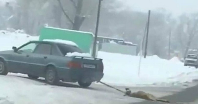 Алматы облысында итті көлікке байлап сүйреген адамдар видеоға түсті