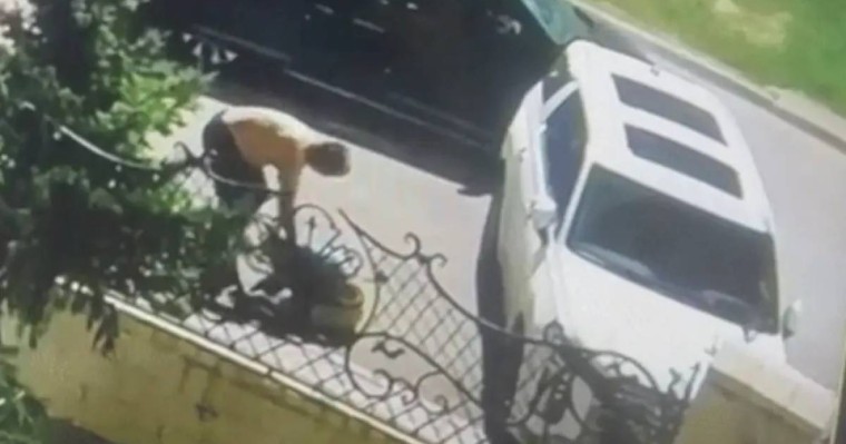 Прокуратура: Шораевқа қатысты іс тоқтатылды