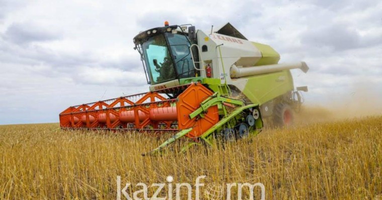 卡拉干达州秋季粮食收割工作正式开始