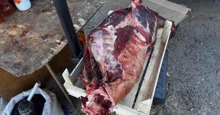 Келісі – 2000 теңге: Еліміздің батысында киік еті сатыла бастады