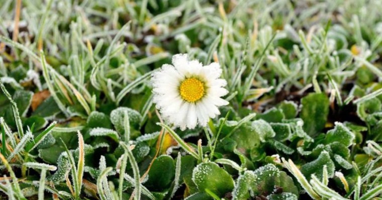 Қазақстанның алты облысында күн 1 градусқа дейін суытады