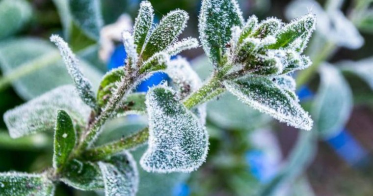 Қазақстанның алты өңіріне 1 градусқа дейін жететін үсік түседі - синоптиктер - Қазақстан жаңалықтары