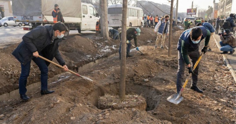 Алматыда отырғызылған 500 ағашқа қаражат қалалық бюджеттен бөлінген