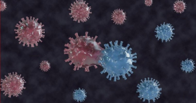 "Вирус мутациаланады және қауіпті бола бастады": ДДСҰ теорияны жоққа шығарды - Қазақстан жаңалықтары