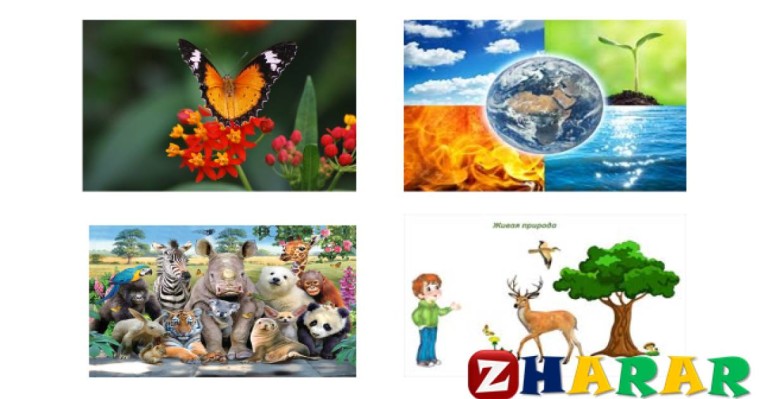 Қазақ тілінен сабақ жоспары: Табиғатты қорғау (3 сынып, I тоқсан, 12 сабақ)