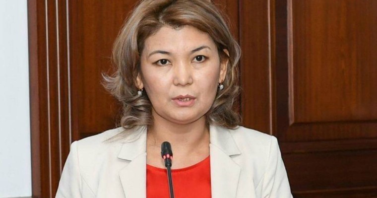 Бала 1 сыныпқа дейін оқып, жаза білуі керек пе – БҒМ комитеті басшысының жауабы - Қазақстан жаңалықтары