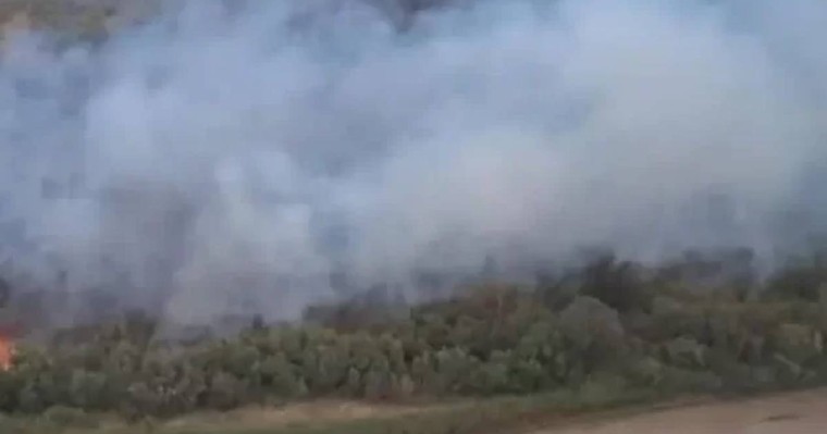 "Алтынемел" ұлттық табиғи паркінің аумағында өрт шықты