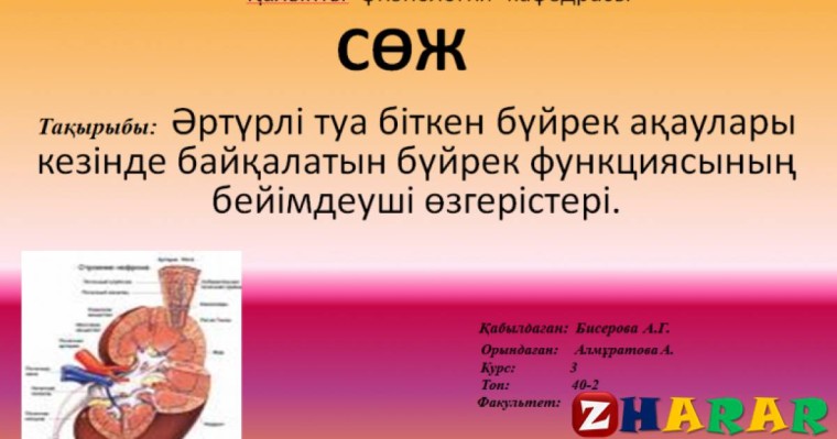 Презентация (слайд): Әртүрлі туа біткен бүйрек ақаулары кезінде байқалатын бүйрек функциясының бейімдеуші өзгерістері