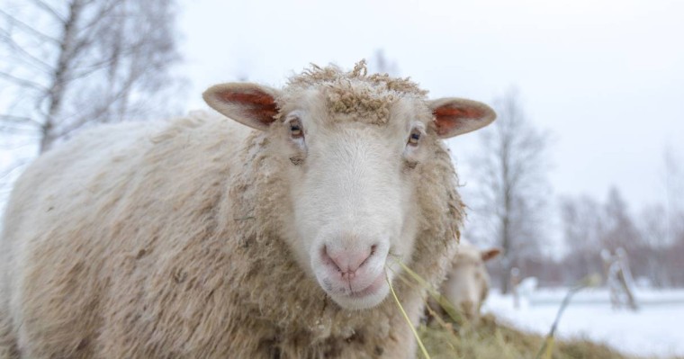 26-28 қарашаға арналған ауа райы болжамы