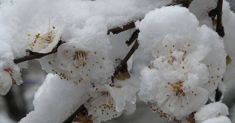 Морозы до 12 градусов придут в Казахстан