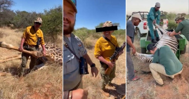 Африкада аң аулап жүрген қазақтардың видеосы пайда болды