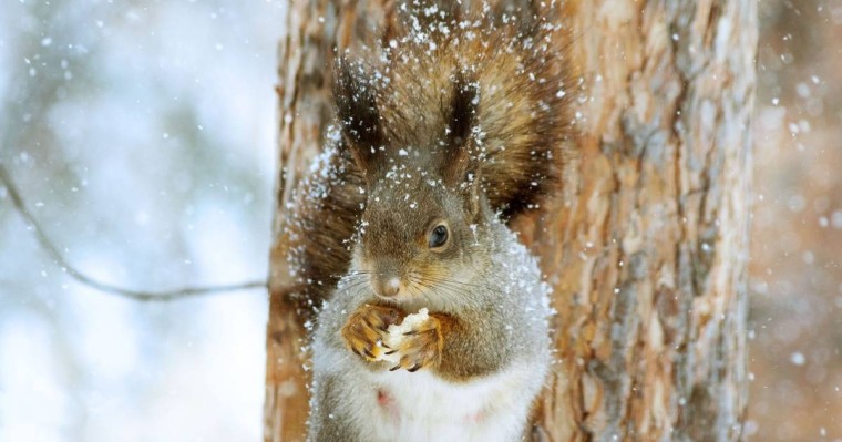 24-26 қарашаға арналған ауа райы болжамы
