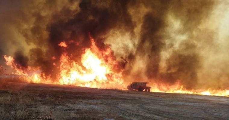 Балқаш көлінің маңында алапат өрт болды – фото, видео