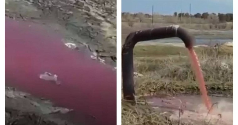 Семей маңында құбырдан аққан қан тұрғындарды шошытты (видео)